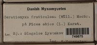 Image Associated With the Occurence